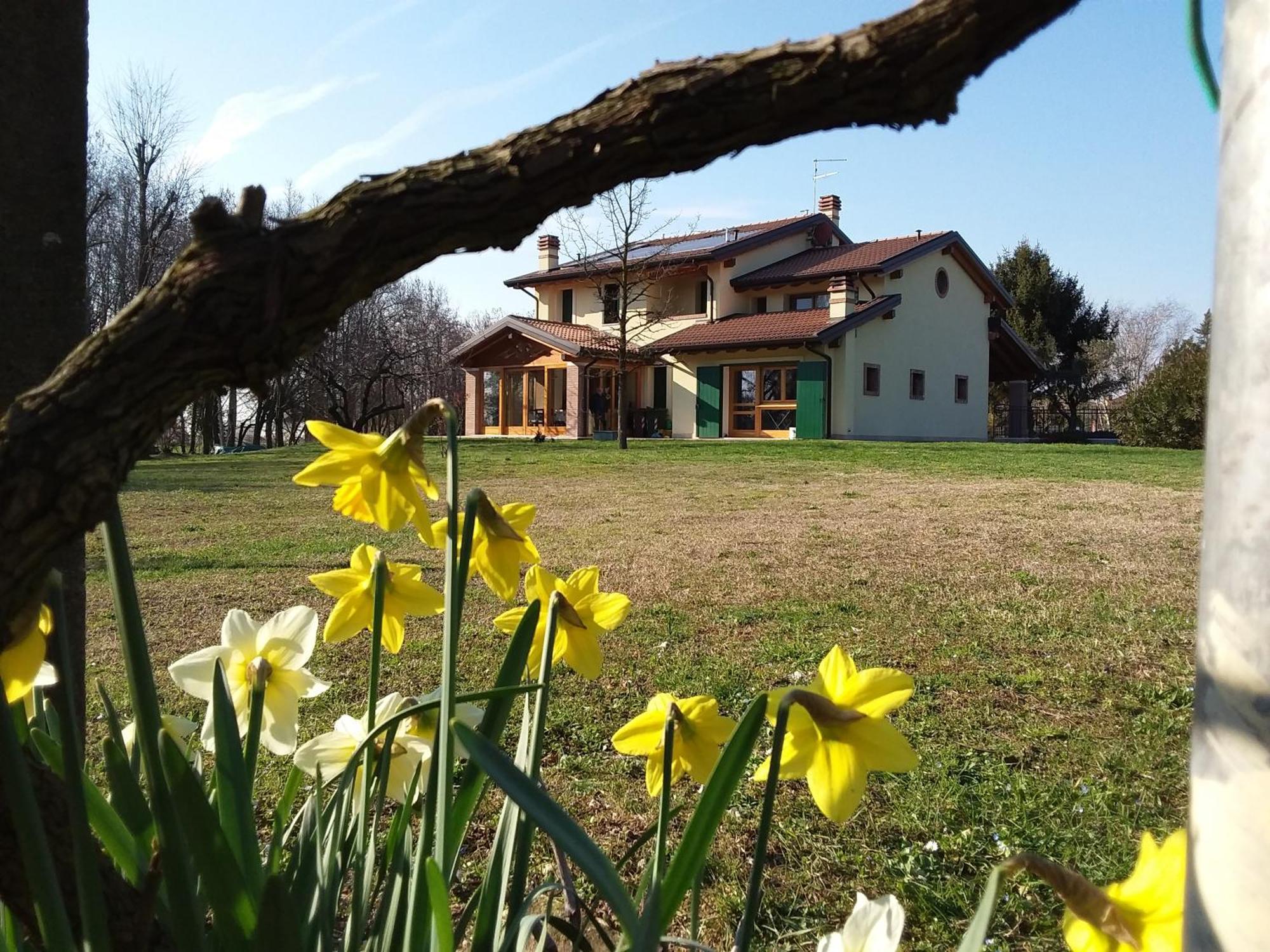 “Al Campo” — Photos 1