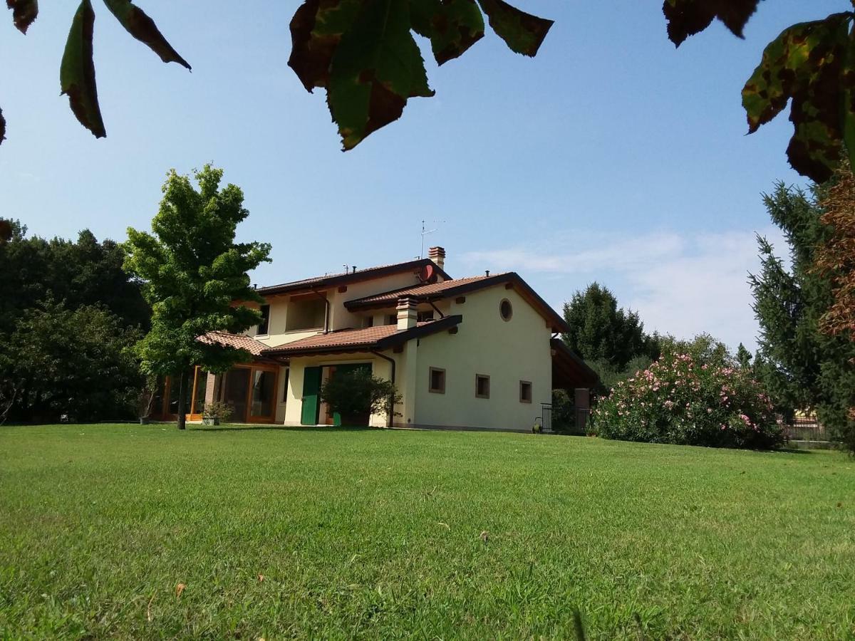 “Al Campo” — Photos 3